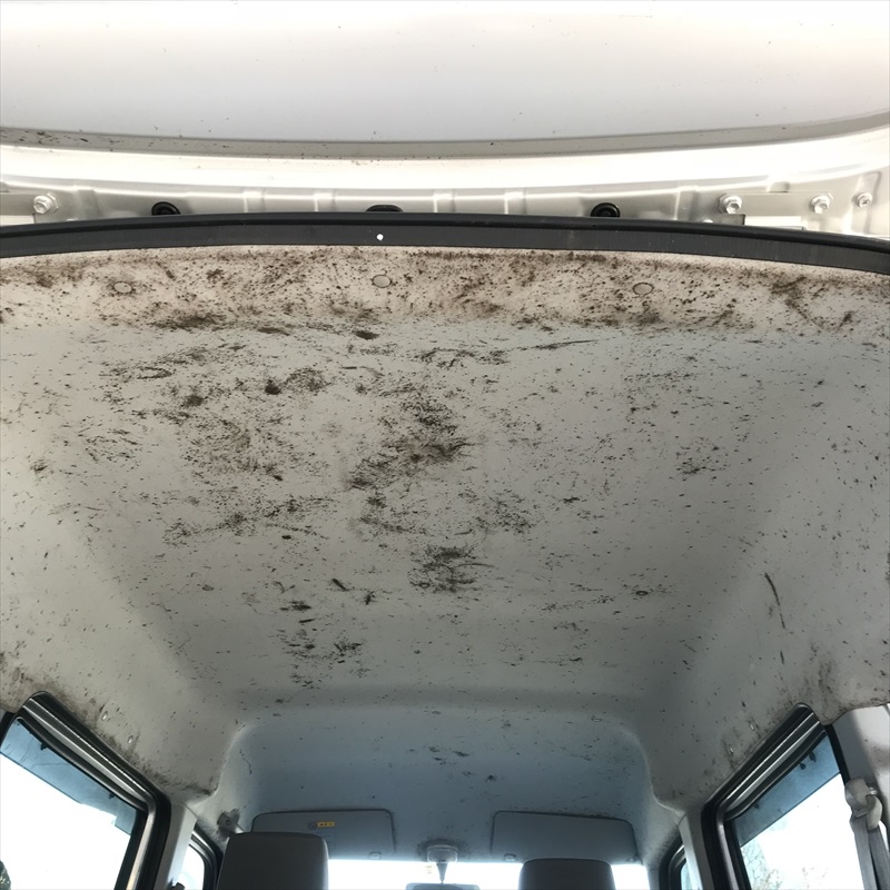 たまげた天井黒カビと酷い車内汚れをクリーニング スズキエブリィバン 千葉県の車内クリーニングなら当店へ トータルリペアイーサン